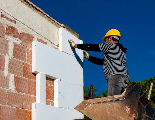 Best Insulation Materials and Products in Haltom City, TX